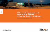 59 DISCUSSION PAPER Development banks and their key roles · Development banks and their key roles Supporting investment, structural transformation and sustainable development. ...