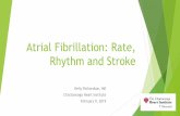 Atrial Fibrillation: Rate, Rhythm and Stroke · • Higher stroke risk for older patients and those with prior stroke or TIA • 15-20% of all strokes are AF-related • AF results