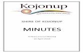 SHIRE OF KOJONUP · 4/16/2019  · In July 2018, a hand drawn draft car park layout for the Swimming Pool level entry was circulated to User Group representatives, Shire staff and