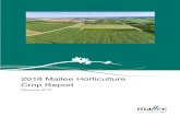 2018 Mallee Horticulture Crop Report · SunRISE Mapping & Research 2018 Mallee Horticulture Crop Report Page 3 of 176 Contents Executive summary 7 Introduction 11 Method 12 Definitions