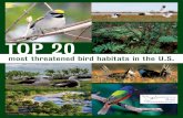 TOP 20abcbirds.org/wp-content/uploads/2015/05/habitatreport.pdf · Top 20 Threatened Bird Habitats in the U.S. This map shows the range extent of each of the 20 most threatened bird