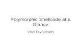 Polymorphic Shellcode at a Glance - Tsyrklevich Shellcode at... · 2016-02-06 · between Metasploit 2.x and 3.x versions. •It also changes if the payload is greater then 1024 bytes.