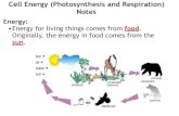 Cell Energy (Photosynthesis and Respiration) Notes€¦ · Cellular Respiration: (2 kinds—Aerobic and Anaerobic) •Cellular respiration is the process by which the energy of glucose