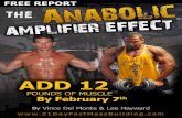 AMPLIFIER EFFECTThe 21-Day Fast Mass Building Program if officially released on January 11th, 2011 It shows you how you can gain up to 12 pounds of pure muscle using The Anabolic Amplifier