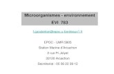 Microorganismes - environnement EVI 783masterbgstu1.free.fr/IMG/pdf/Garabetian_cours1.pdfBergey’s Manual of Systematic Bacteriology , 2nd edition, 2001 Volume One : The Archaea and