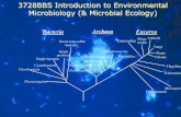 3728BBS Introduction to Environmental Microbiology ...elearning.psru.ac.th/courses/107/lecture1.pdf · 3728BBS Introduction to Environmental Microbiology (& Microbial Ecology) Bacteria