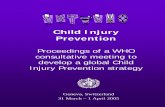 Child Injury Prevention - WHO...Child Injury Prevention meeting, WHO, 31 March – 1 April 2005 3 • To discuss the rationale, concepts and process for developing a World report on