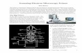 Scanning Electron Microscopy Primer - Semantic Scholar · happening inside the “black box” (microscope column and specimen chamber) when an instrument control is manipulated to