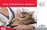 Key nutritional factors - protrain.hs.llnwd.netNot all dogs and cats that appear healthy are free of disease. Dogs and cats with chronic renal disease are usually subclinical until