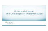 Uniform Guidance: The Challenges of ImplementationA Sample Communication Strategy 15 • OSP, procurement, internal audit, financial ops, payroll, controller Cross functional team