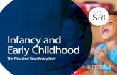Infancy and Early Childhood - Cambridge Neuroscience · for child development; early years, childhood and adolescence are all important in understanding brain sensitivity. Different