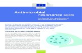 Antimicrobial resistance (AMR)€¦ · countries tackle antimicrobial resistance. and global networks of policy makers, experts and organisations related to AMR and HCAI to achieve