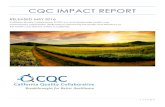 CQC IMPACT REPORT - CQC IMPACT REPORT RELEASED MAY 2016 California Quality Collaborative (CQC) is a