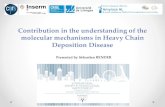 Contribution in the understanding of the molecular ... · Heavy Chain Deposition Disease =HCDD Molecular mechanisms of HCDD Healthy glomerulus Sclerotic glomerulus Deposition of a