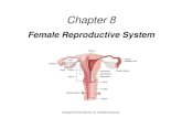 Chapter 8ofsimpsonclassroom.weebly.com/uploads/3/7/6/7/37676535/chapter_8_powerpoint.pdfmenometrorrhagia excessive bleeding from the uterus at menstruation (and between menstrual cycles;