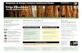 Sequoia & Kings Canyon National Parks - Trip Planner Early ... › ... › Newspaper_2A_2020_web-508.pdf · newspaper, and outdoor information kiosks Picnic areas . Restaurants and