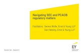 Navigating SEC and PCAOB regulatory matters · Navigating SEC and PCAOB regulatory matters Facilitators: Serena Wolfe, Ernst & Young LLP . ... AQIs could help audit committees in