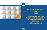 EU Market Situation for Eggs Committee for the Common ...€¦ · 50.567 14% Barn 97.313 26% Organic 16.048 4% Number of Laying Hens 2015 by way of keeping based on the EU Member