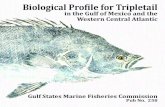 Biological Profile for the Tripletail Fishery in the Gulf of Mexico … Number 258.pdf · Gulf Coast Research Laboratory. University of Southern Mississippi 703 East Beach Drive.