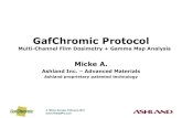 GafChromic Protocol...GafChromic Protocol Primary Calibration Single calibration scan 9 exposed strips with geometric dose sequence + unexposed strip Single scan avoids scan to scan