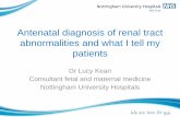 Antenatal diagnosis of renal tract abnormalities and what ... · Antenatal diagnosis of renal tract abnormalities and what I tell my patients Dr Lucy Kean ... •Almost anything!