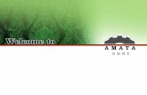AMATA Corporation PCL. - listed companyamata.listedcompany.com/misc/presentation/AMATAQ1.2006.pdf · 2008-12-03 · AMATA Corporation PCL. THE GROWTH ENGINES Mid-Term Strategy: 2005-2010