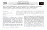 Developmental Biology - University at Buffalorgron/BCH512/Paper11.pdf · 2011-06-08 · Genomes & Developmental Control An FGF–WNT gene regulatory network controls lung mesenchyme