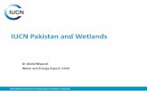 IUCN Pakistan Programme...Presentation Sequence •Introducing IUCN •Wetlands – What and Why? •Wetlands in Pakistan – Importance •IUCN Pakistan Water and Wetlands Program