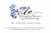 The Molecular Basis of Life - Molecular biophysics · The Molecular Basis of Life Undergraduate BA, BS and BS/MS Programs Student Handbook for 2019-2020 . ... The Molecular Biophysics