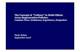 The Concept of “Culture” in Multi-Ethnic Areas …Areas Regeneration Policies: Common Views, Weaknesses, Experiences, Perspectives Paola Briata September 2007 In recent years,