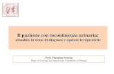 Il paziente con incontinenza urinaria - S.I.G.G. Societa ... · lower urinary tract dysfunction in humans. Detrusor Overactivity (DO) and the clinical picture represented by overactive