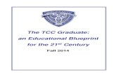 The TCC Graduate: an Educational Blueprint for the 21st ... · Special Populations Care Changing trends in population demographics have identified the need for special populations