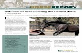 July 2012 A publication of the Center for Equine Health • School …thinklikeahorse.org/alfalfa horse hay.pdf · 2016-12-15 · July 2012 A publication of the Center for Equine