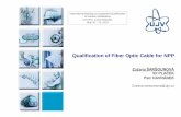 Qualification of Fiber Optic Cable for NPP · Fiber optic at Dukovany NPP Fiber optic cables are commonly used on I&C systems, usually in a mild environment. For example at Czech