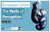European Union The Perils of - UK in a Changing …...EU Perils of Perception 2016 7 Q In 2014, the total EU budget was about €140bn.Each member state contributes a share of the