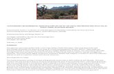 OUTSTANDING ENVIRONMENTAL RESOURCES AND VALUES OF …basinandrangewatch.org › Castle Mountains ACEC-3.pdf · community grades below into diverse creosote scrub (Larrea tridentata)