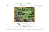 CITY OF LINDSTROM S R A - Chisago SWCDchisagoswcd.org/wp-content/.../Lindstrom-Assessment... · of an overall watershed restoration plan including educational outreach, stream repair,