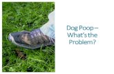 Dog Poop What’s the Problem? · Deliver “Scoop the Poop” Kits to Vet Clinics Quarterly distribution of appx. 60-75kitsto each vet clinicthroughout the year. Assemble materials