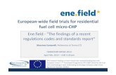 European wide field trials for residential fuel cell micro CHP · Source: Fuel Cell Handbook (fifth edition), EG&G Services Parsons, Inc., 2000. and Fundamental physics and chemistry