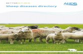 BETTERRETURNS - Home - AHDB Beef & Lambbeefandlamb.ahdb.org.uk › wp-content › uploads › 2018 › 05 › Sheep...Feeding the coccidiostat decoquinate to ewes during the last two