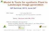 Model & Tools for synthetic Plant to Landscape image ...amap-collaboratif.cirad.fr/ecipp/wp-content/... · Marc Jaeger. Enhancing computer generated natural scenes using quick and