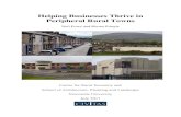 Helping Businesses Thrive in Peripheral Rural TownsHelping Businesses Thrive in Peripheral Rural Towns Neil Powe and Rhona Pringle Centre for Rural Economy and School of Architecture,