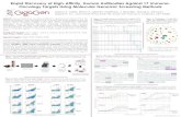 Rapid Discovery of High-Affinity, Human Antibodies Against ... › wp-content › uploads › Adler-Keystone-2018-Poster.pdfClustergram of anti-LAG-3 mAbs with abundance >0.1% post-sort.