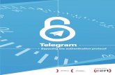 Telegram: bypassing the authentication protocol · TELEGRAM – Bypassing the authentication protocol 4 1 INTRODUCTION Telegram1 is the new alternative to Whatsapp, launched in mid