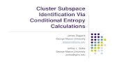 Cluster Subspace Identification Via Conditional …...Graph-theoretic analysis zCE calculation results in a distance matrix - visualizing the fully-connected graph is of little use.