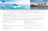2942 Maldives Singapore - journese.comDAY 3: SINGAPORE | Greet the day with a glimpse of the Hidden Charms of Tiong Bharu. Discover the city’s hot spots from the Pinnacles at Duxton