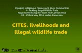 CITES, livelihoods and illegal wildlife trade...Species in illegal trade •Appendix I species of high value (e.g. African elephant ivory, rhino horn, tiger bone) •Appendix II species