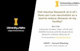 Fish Vaccine Research at U of I: How can I use vaccination ... Annual Meeting/… · Fish Vaccine Research at U of I: How can I use vaccination as a tool to reduce diseases at my