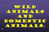 Wild animals and domestic animals. animals Lesson 3.pdf · 3 2 1 6 4 5 Crossword “Domestic and wild animals” 1356 These animals look like dogs. But they are wild animals.The best