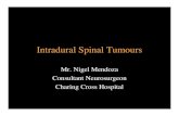 Intradural Spinal Tumoursnigelmendoza.com/lectures_pdf/SPINAL_TUMOURS-WEB...Epidemiology of Intradural tumours 20 % of all CNS tumours are in the spinal canal • Incidence : 2 - 4